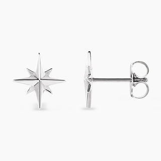 Shinning Star Earrings | Platinum